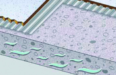 moisture from below 400x260px